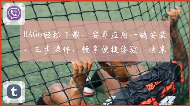 HAGo轻松下载，安卓应用一键安装，三步操作，畅享便捷体验，快来试试吧