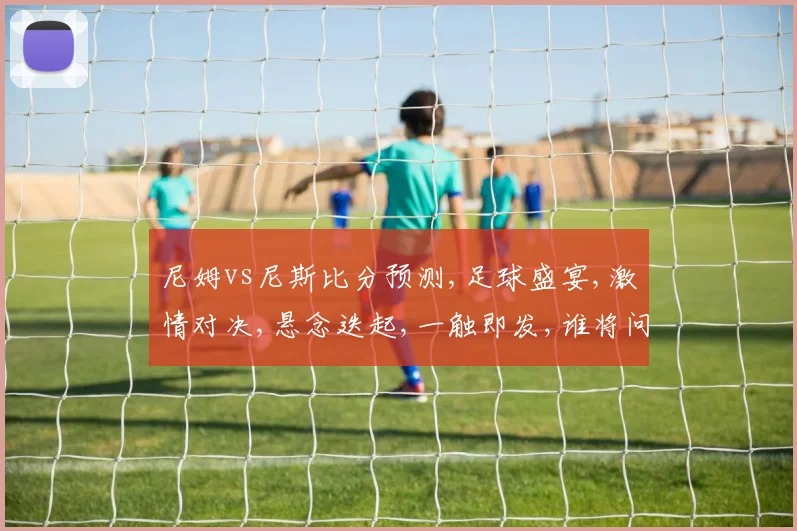 尼姆vs尼斯比分预测,足球盛宴,激情对决,悬念迭起,一触即发,谁将问鼎